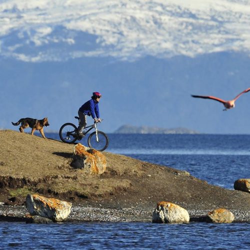 Remota Puerto Natales 7